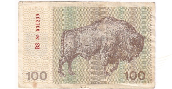 #38a 1991 m. 100 talonų be užrašo BS serija VF!